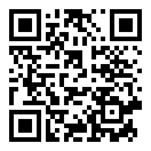 江洋大盗模拟器二维码