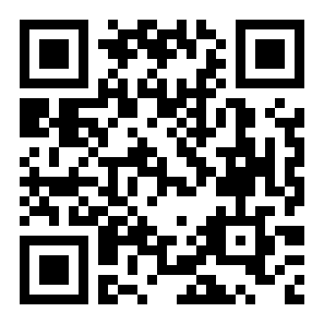 双子战略二维码