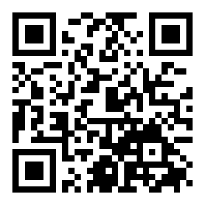 空闲大亨智能手机二维码