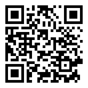 空中王牌战斗二维码