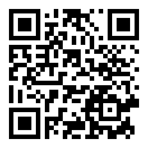 神偷鲍勃2二维码