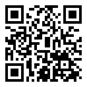 风读小说极速版二维码