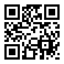 闪电跑者二维码