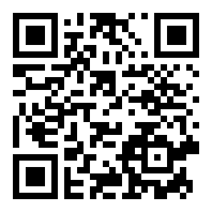 百变主题图标二维码