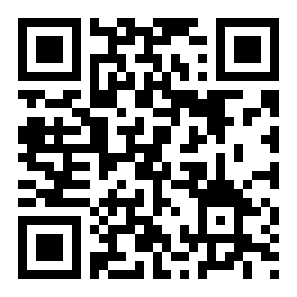 飞个飞机二维码