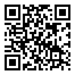 物理弹球二维码