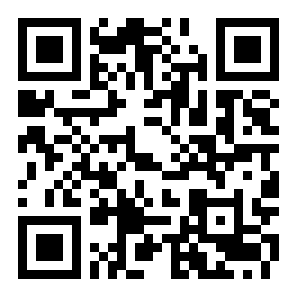 击败与完善原版二维码