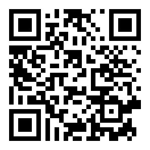 反向俄罗斯方块二维码