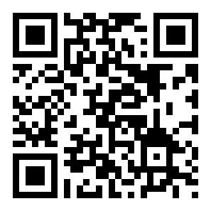 过去的未来二维码