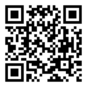 导弹系统模拟器二维码