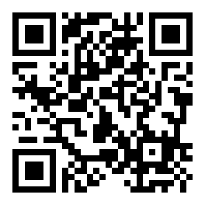 像素鸟对战版二维码