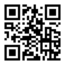 琴岩小说二维码