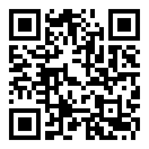 整个锤子二维码