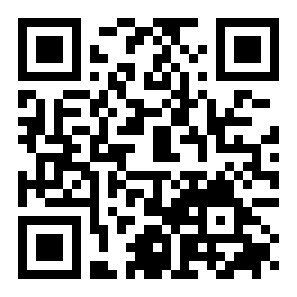 雪人兄弟单机版二维码