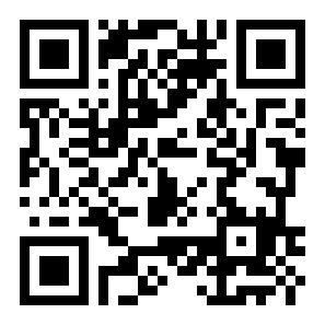 皮皮小说精简版二维码