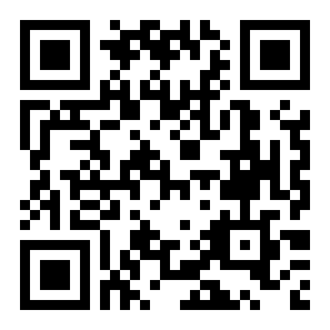 像素鸟飞行二维码