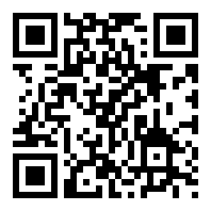 车祸模拟器2二维码