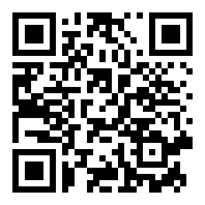 高速公路赛车手车祸版二维码