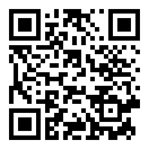 jojo的奇妙冒险x洛克人二维码