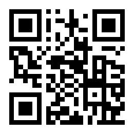 空中的飞鸟二维码