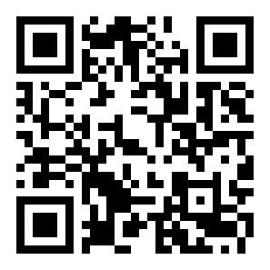 模拟飞行车二维码