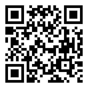 模拟飞行10豪华版二维码