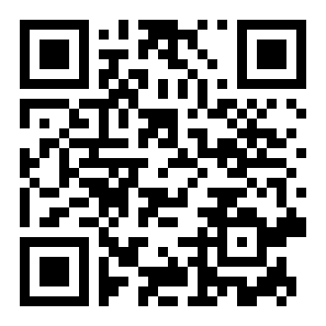 汽车灾难二维码