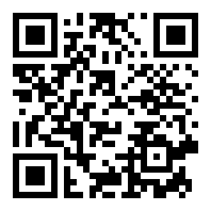 谜题逻辑二维码