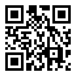 弹小球打砖块二维码