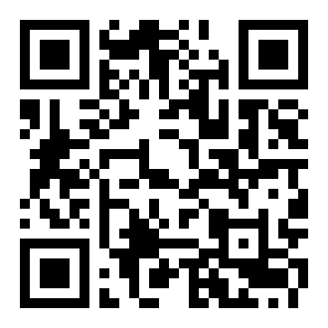 神偷鲍勃3二维码