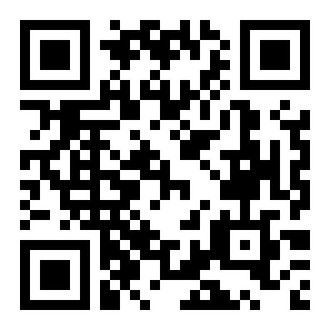 冲刺撞车二维码