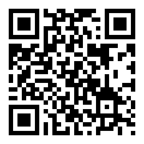 小米主题国际版二维码