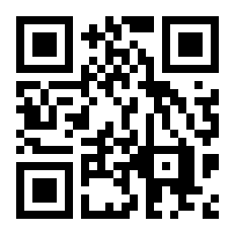 CarInsanity二维码