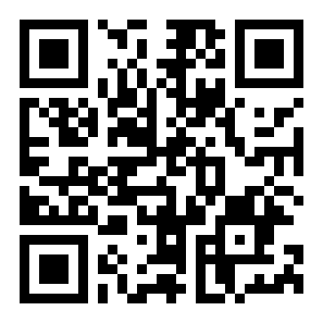 专业模拟飞行10二维码