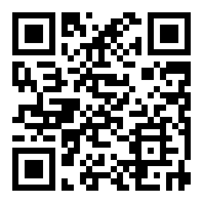 多米诺骨牌3D二维码