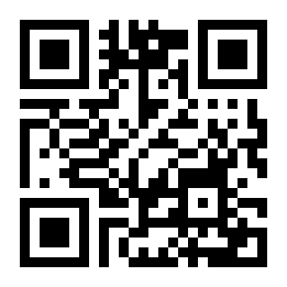 真实车祸碰撞模拟器二维码