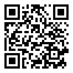 闪电侠模拟器二维码