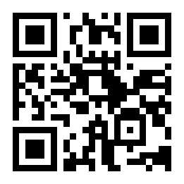 真人汽车驾驶德国二维码