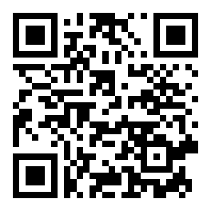 闪电行动模拟二维码