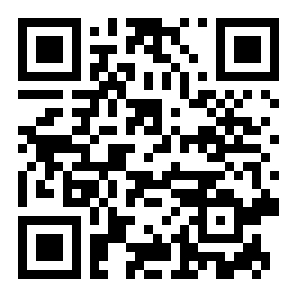 书丸子AI语测二维码