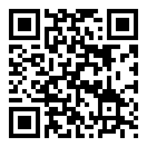 神偷鲍勃2中文版二维码