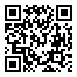 俄罗斯积木拼图二维码