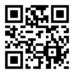 简单风格二维码