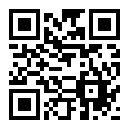 戴安娜装扮二维码