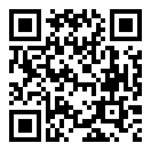 玩具飞机战场模拟器二维码