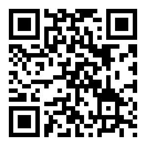 成语填填字二维码