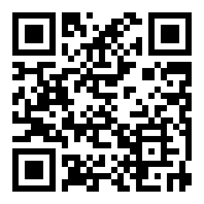 街头食品大亨二维码