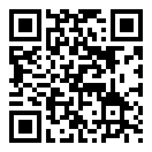 模拟航空飞行2021二维码