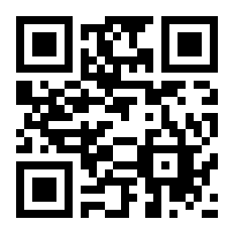 像个披萨二维码