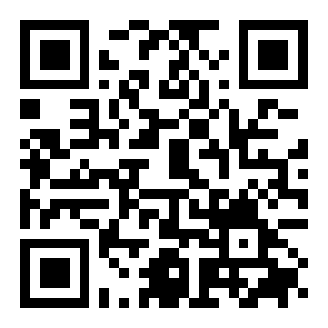 王者荣耀精简版二维码